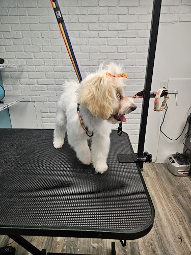 Diamond in the Ruff Pet Spa