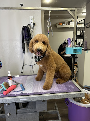 Diamonds in the RUFF