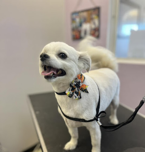 Diamonds in the Ruff