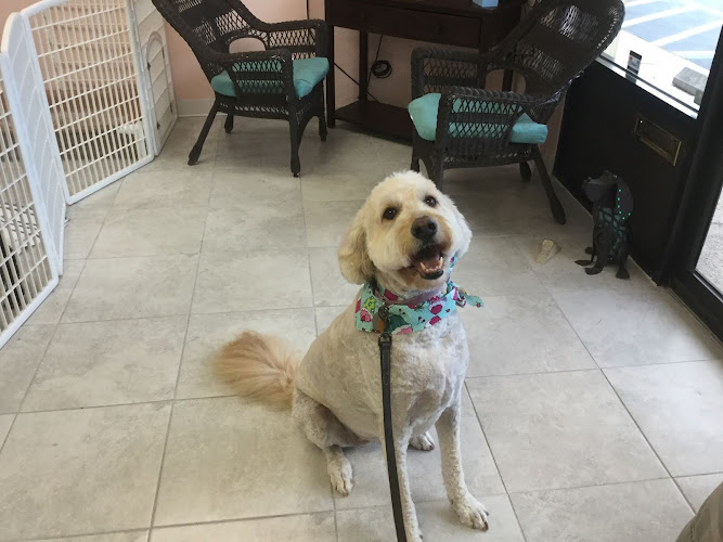 Diane's Pet Grooming LLC