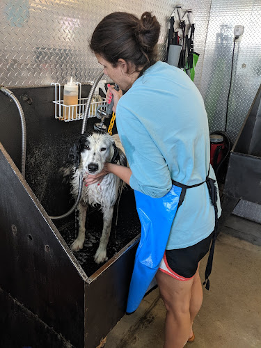 Dirty Dog Grooming + Self-Serve Dogwash + Daycare + Boarding