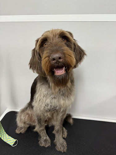 Dirty Paws Grooming LLC