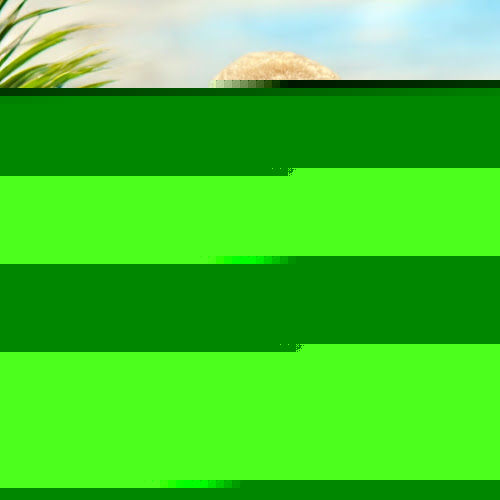 Discover Pet Health Poochtique and Spaw