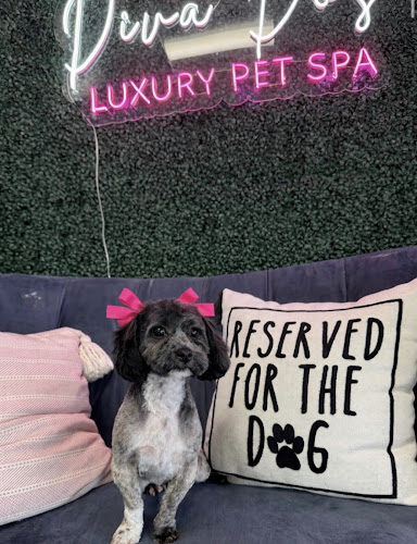 Diva Do’s Luxury Pet Spa