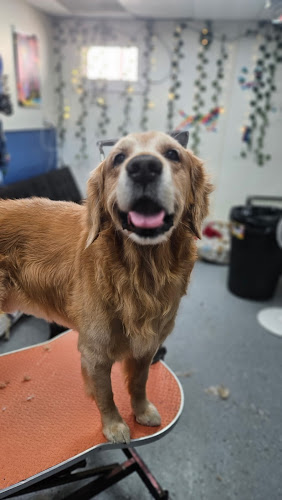 DJ's Groom and Board