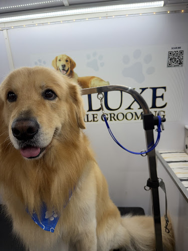 DLUXE MOBILE GROOMING