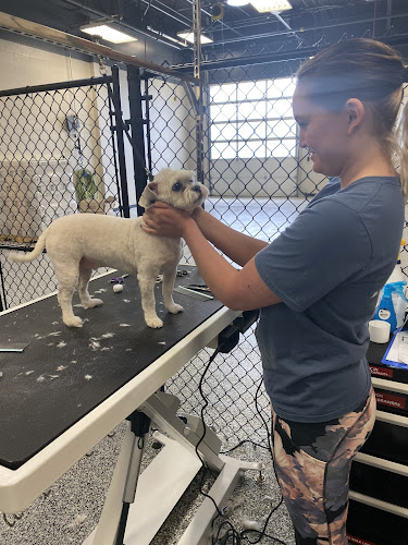 DMACC Bear Clips Salon