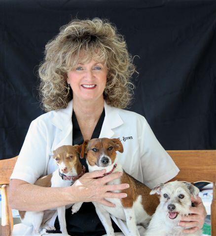 Dog & Cat Clinic & Laser Center