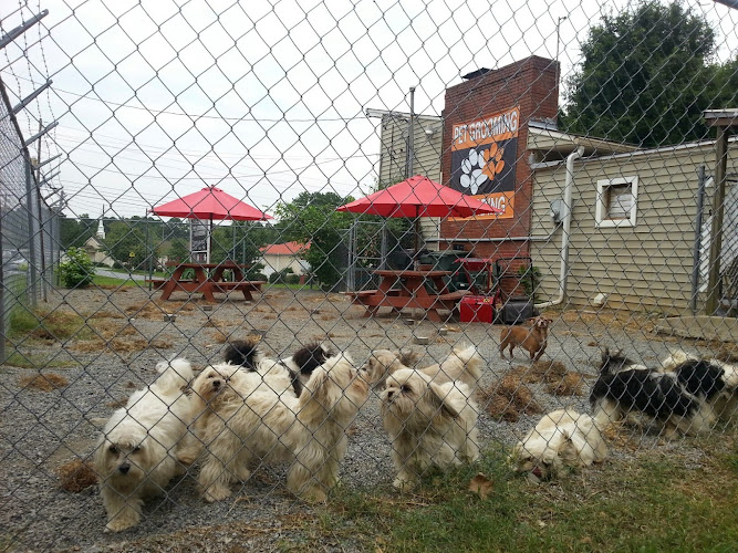 Dog Grooming Marietta