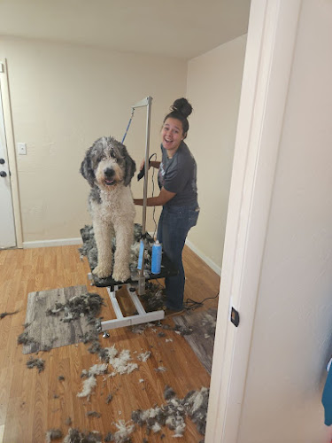 Dog Grooming Near Me Prescott Valley Az LLC Pet Grooming