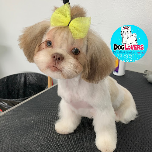 Dog lovers D-pet salon