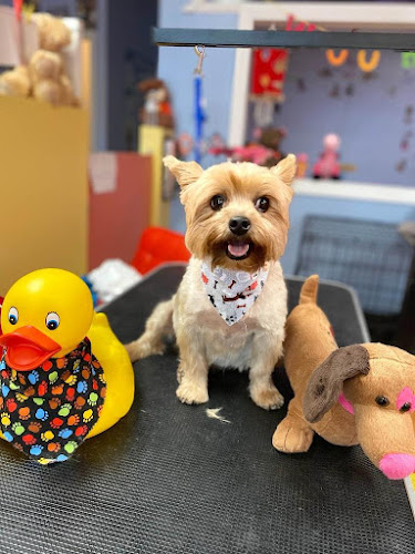 Dog Mom Petcare & Grooming