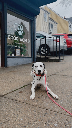 Dog's World Grooming