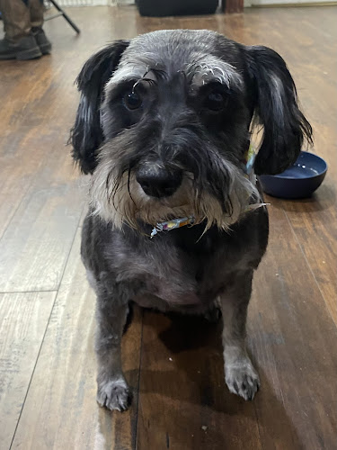 Dog Tired Inn and Grooming previously Grooming Tails