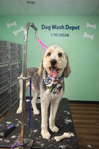 Dog Wash Depot