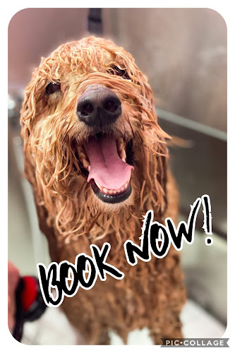 Doggie Day Spa of Little River