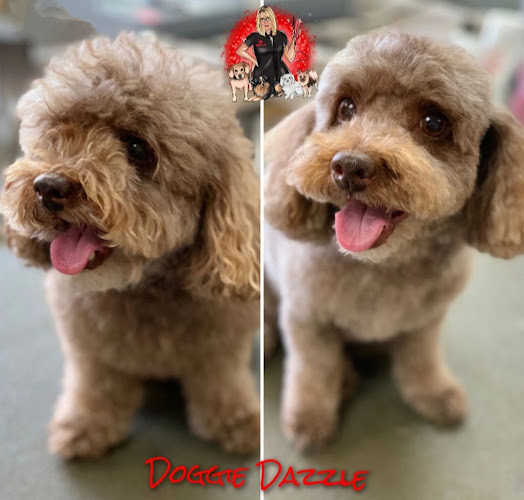 Doggie Dazzle Rolling Paw Spa