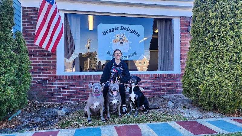 Doggie Delights dog grooming
