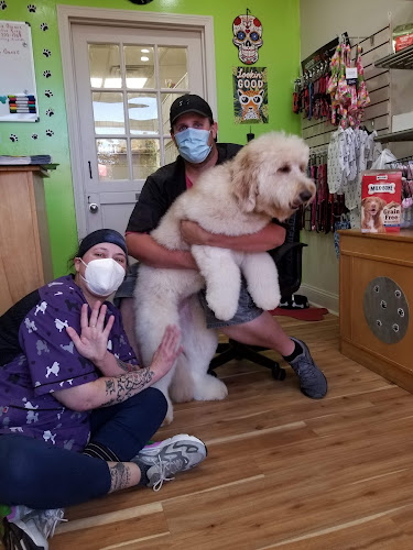 Doggie Do's Grooming Salon, Inc