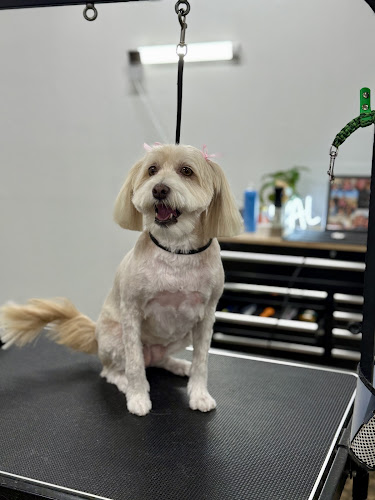 Doggie Do's Pet Salon