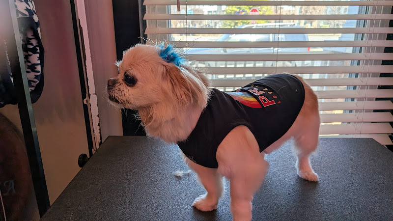 Doggie Style Atlanta