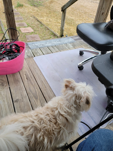 Doggie Style Grooming