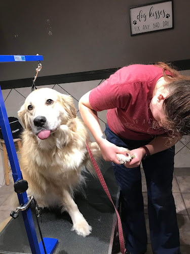 Doggone Groomers & Boarding