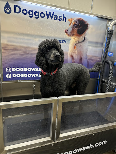 Doggowash