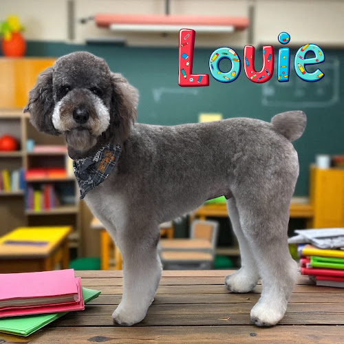 Doggy Clipps - Salon & Mobile Grooming