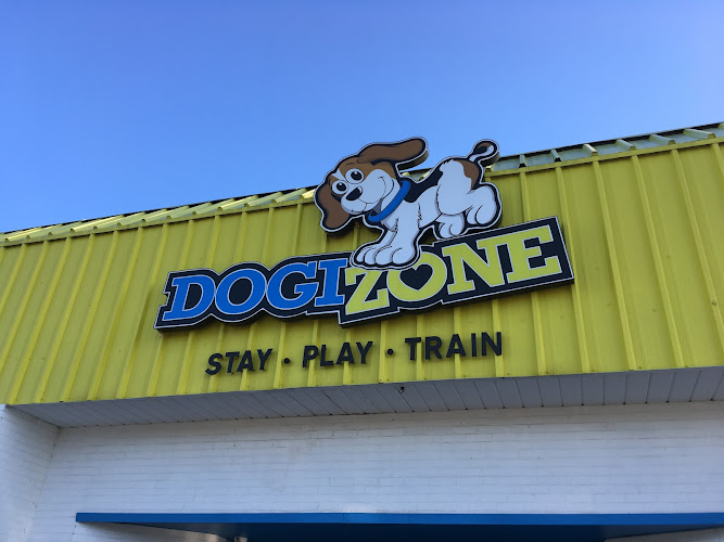 DogiZone
