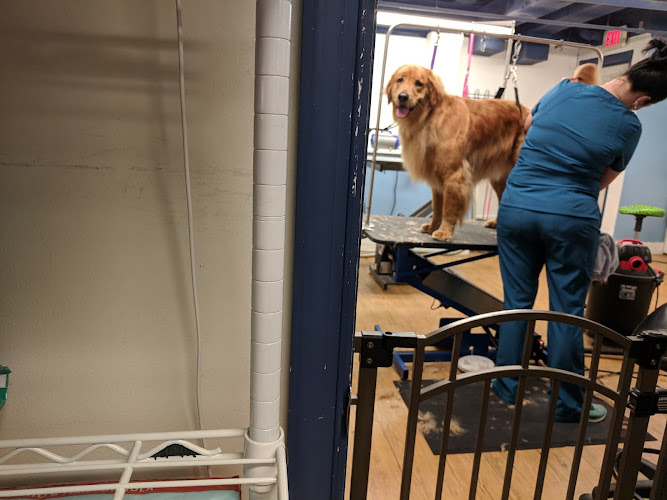 Dogma Bakery - Village at Shirlington