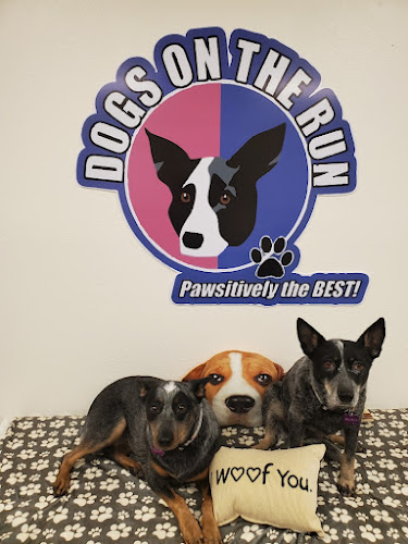 Dogs on the Run Pet Grooming Boutique & Barkery