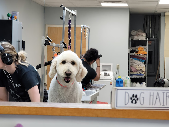 Dogterra Grooming, LLC