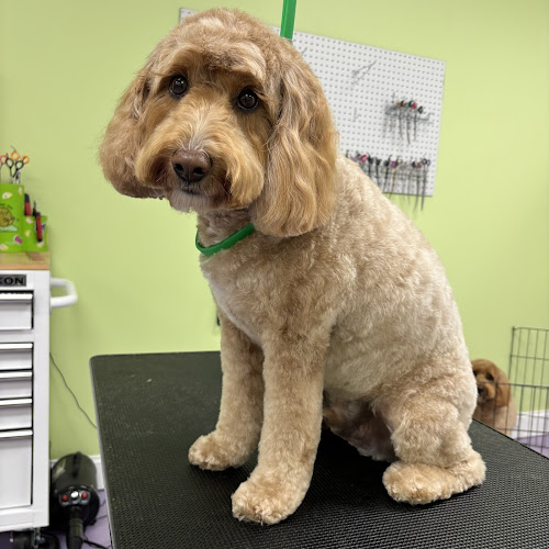 Dogtooth Pet Salon LLC