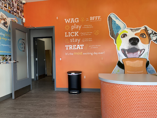 Dogtopia of Belden-Canton