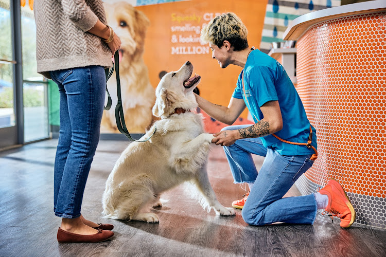 Dogtopia of Cedar Mill