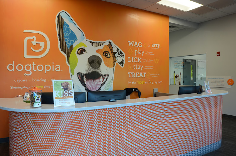 Dogtopia of Jacksonville at the Avenues