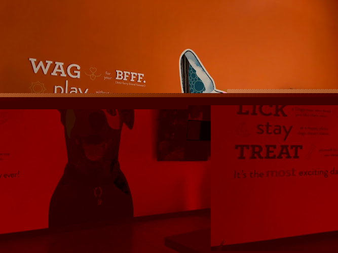 Dogtopia of Manassas