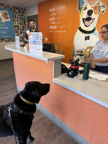 Dogtopia of McKinney