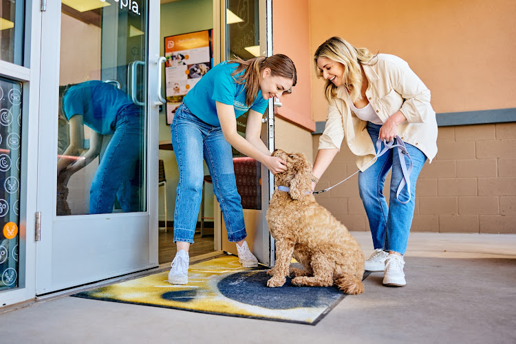 Dogtopia of Sinking Spring