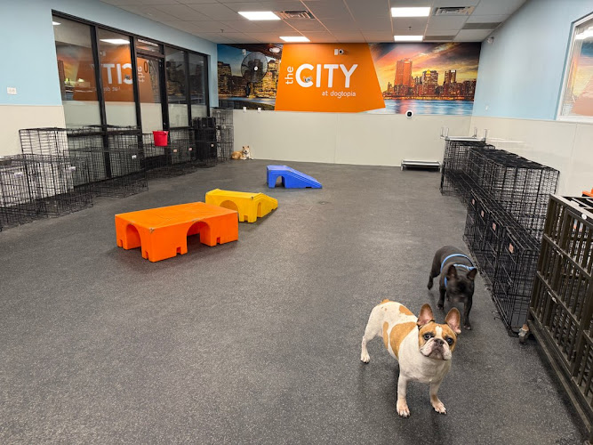 Dogtopia of Sun City - Las Vegas