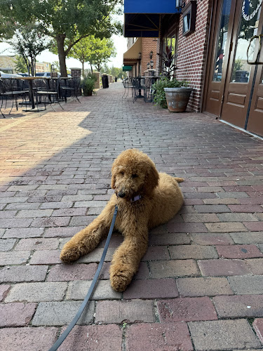 Dogtopia of The Shire at CityLine