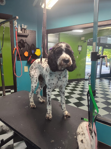 Dogtown Cincinnati - Downtown