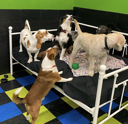 Dogtown Green Township