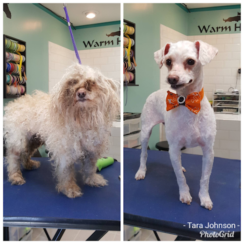 Dogwood Grooming Spa LLC