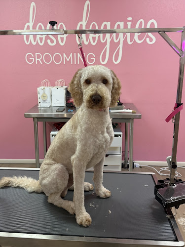 Doso Doggies Grooming