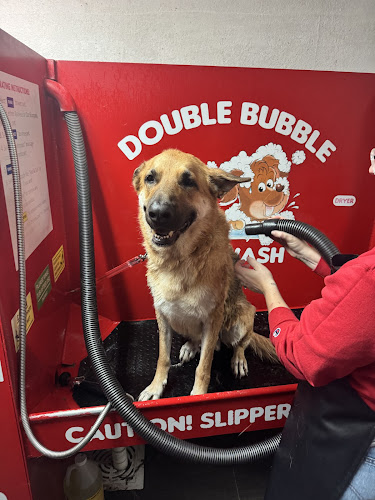 Double Bubble Dog Wash