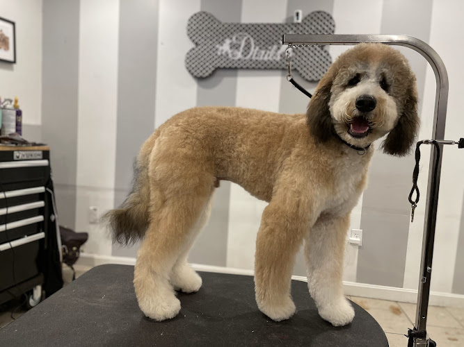 Dtails Pet Grooming & Nutrition