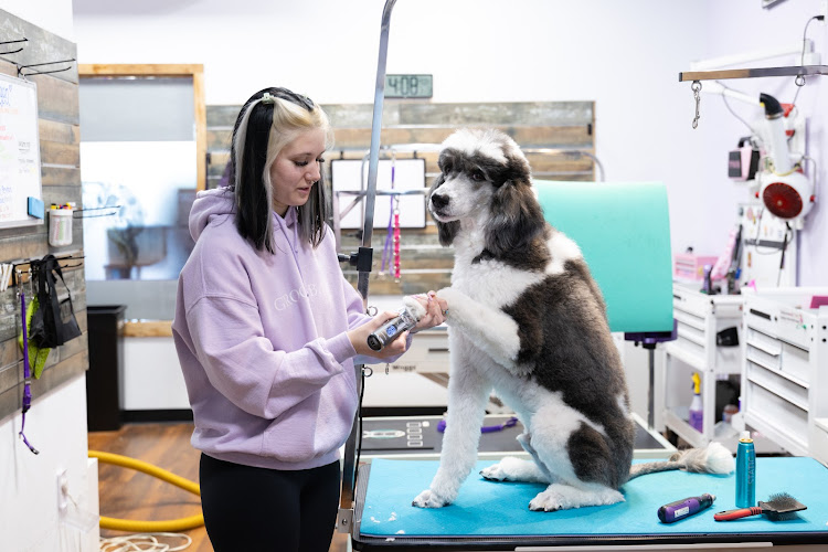 EarthWise Pet Easton