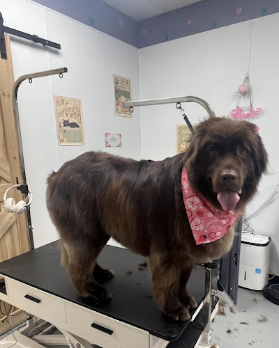 EarthWise Pet Hamburg